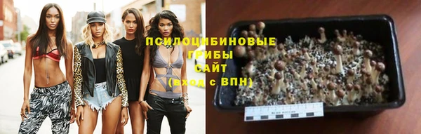 ПСИЛОЦИБИНОВЫЕ ГРИБЫ Армянск