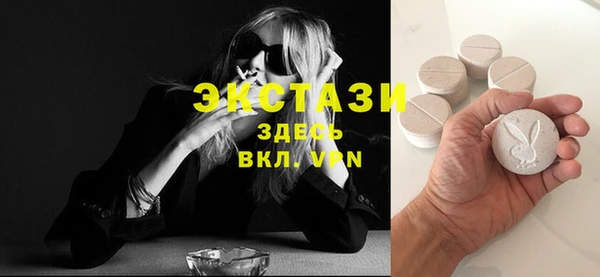 гидра Арсеньев