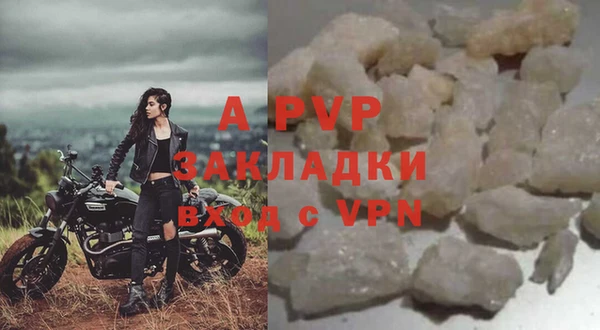гидра Арсеньев
