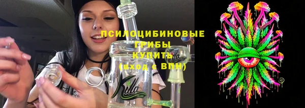 ешки Аркадак