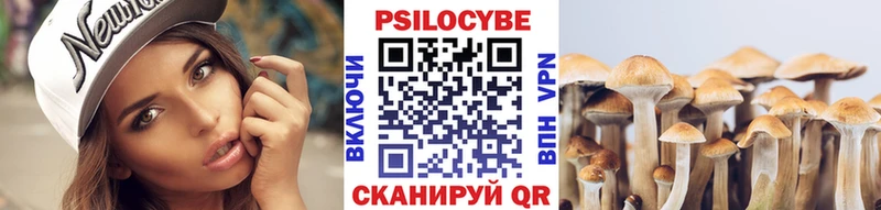 купить наркотик  Черногорск  Галлюциногенные грибы прущие грибы 